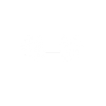 barbell icon