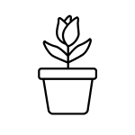 plant and flower growing